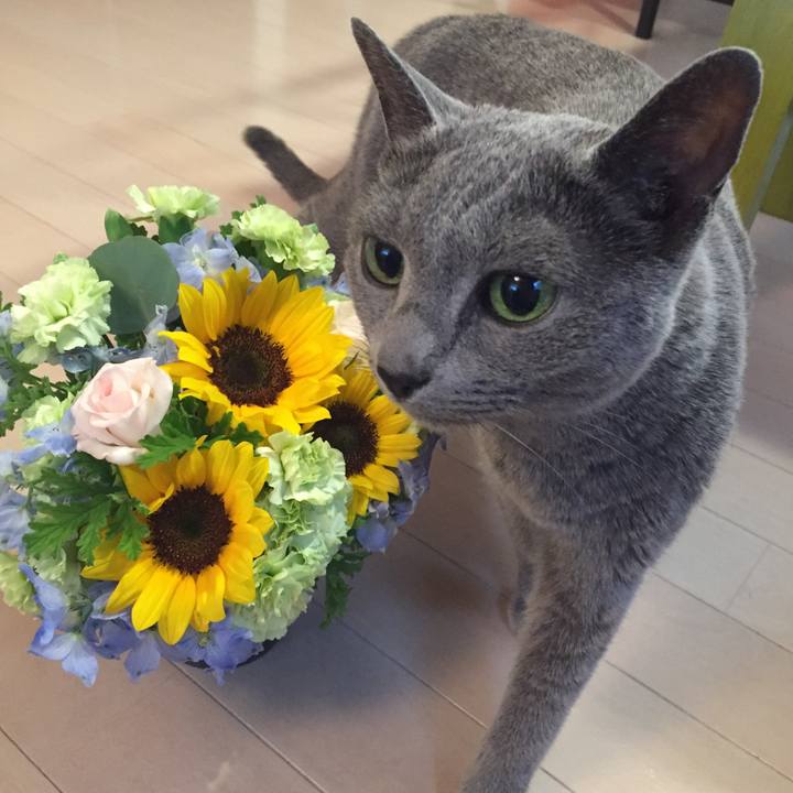 04384885 03bc 4de5 8f81 d96b8177c4a8 1561202469975