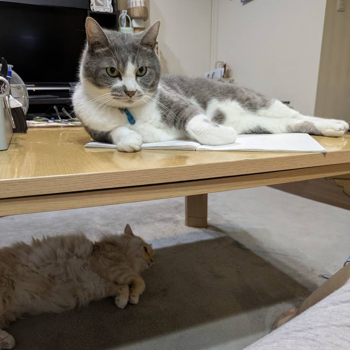 0438713e e43d 4d00 9f68 056b0d7bb4e4 1753446577632