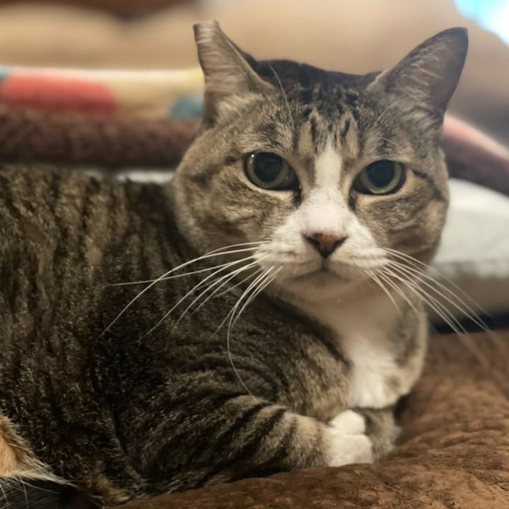 04387f5c 4eb3 435d 816f bbb87c471d97 1767961312607