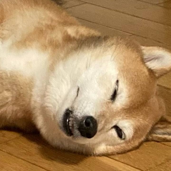 0438856a dbd4 43cb 8586 0e4ea37245f2 1655715322116