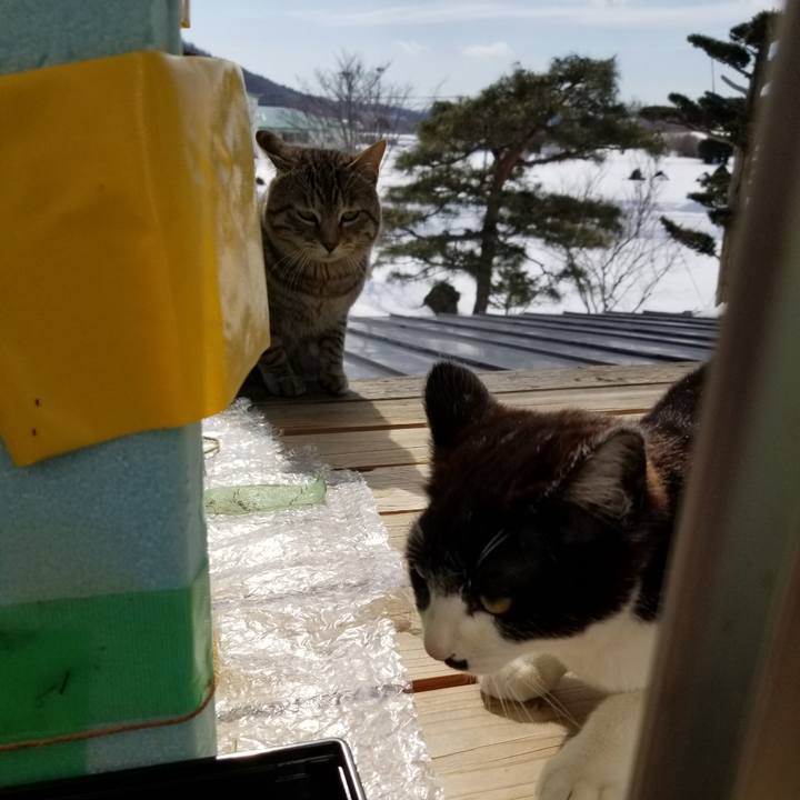 04388b20 2615 4c69 8989 7bcd44b1742a 1615448267985