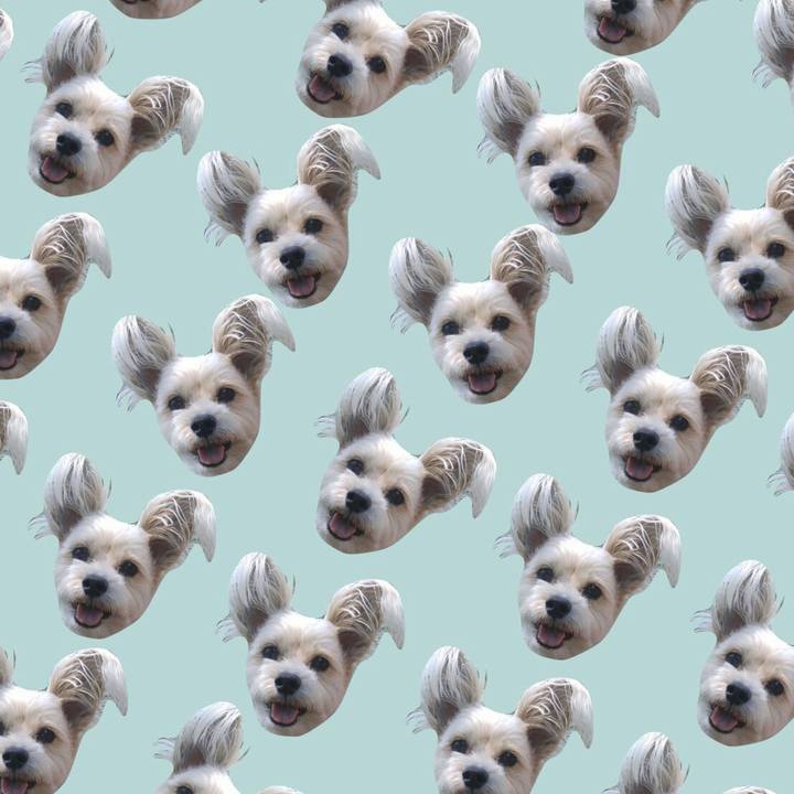 04388bcc c99c 45d2 9608 a664b5769bde 1522681003610