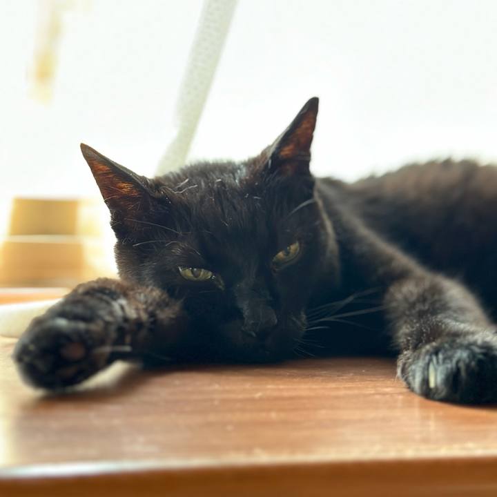 043934bc 34ce 4616 b206 d61e10930885 1687916245083