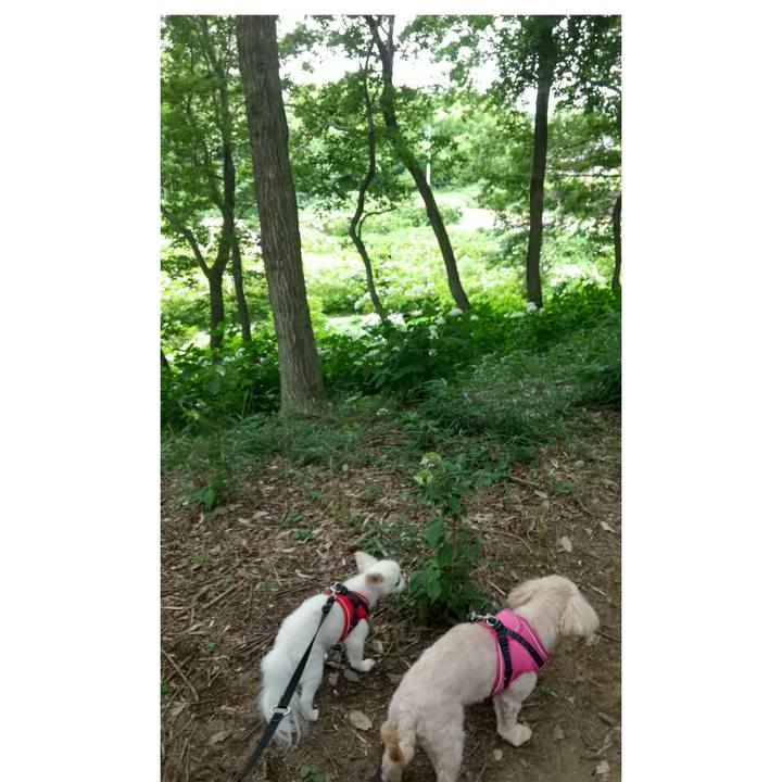 04394eb0 11ea 4dd0 bb10 140bc26870a0 1625832885865