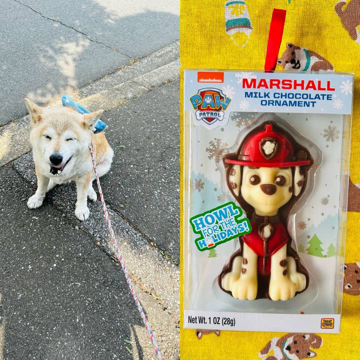 0439584a 2211 4351 924a 12c5a262ed80 1749799689142