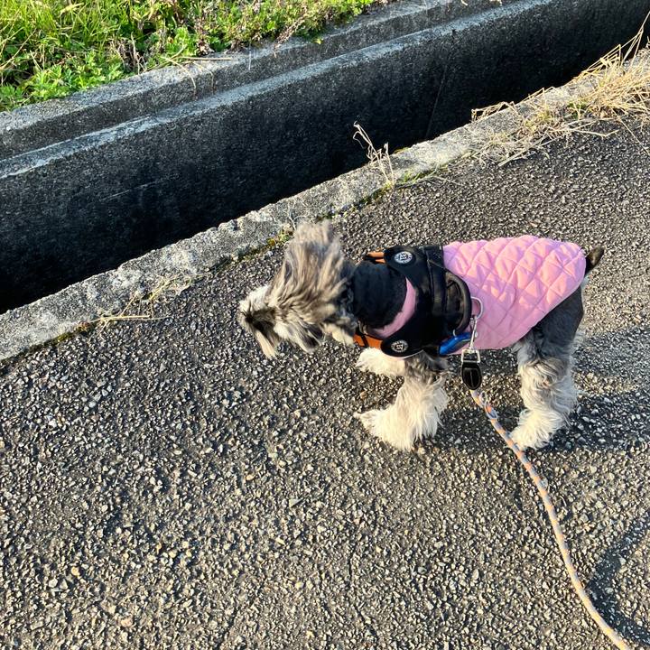 04399b64 9e10 4e60 81a6 893f48e4d4f0 1774018667333