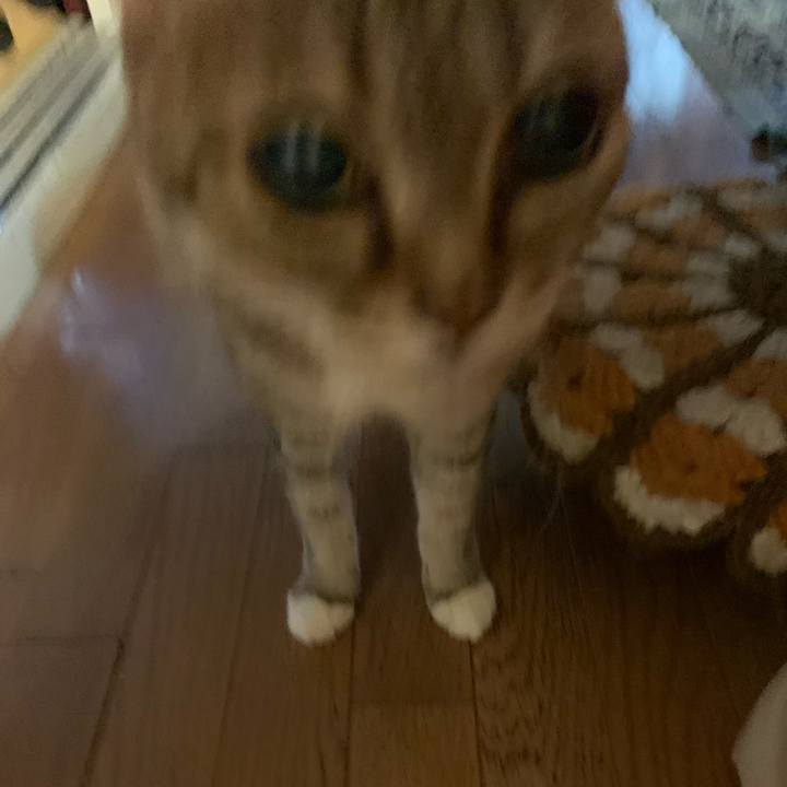 043a31f4 a4a5 4373 87d2 6d4115449d80 1710199941279