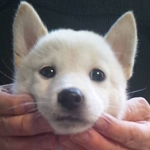 043a9854 9a99 44df bb92 91e1f67caa60 1532244663109