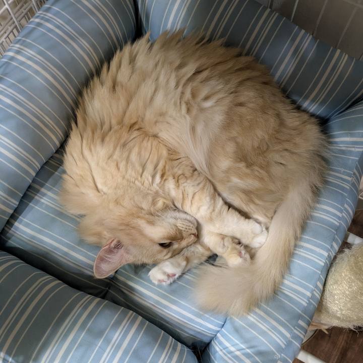 043aabe3 4586 40ac 9bf8 4a4a10135951 1761574477284