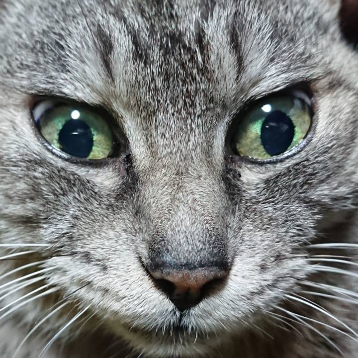 043ab7bd a291 433c a82c e9b08ed6ece1 1582800195897