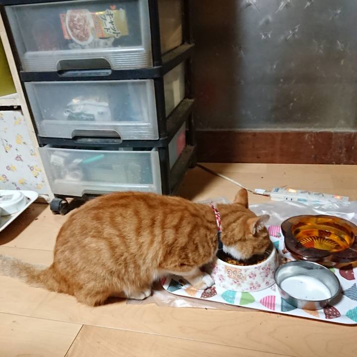 043ac626 ca72 4125 8b3c 5dee95deacc8 1598473060921