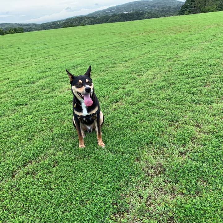 043ad5d0 cbfe 4e6b bed8 2389b6c3cbc8 1592435729169