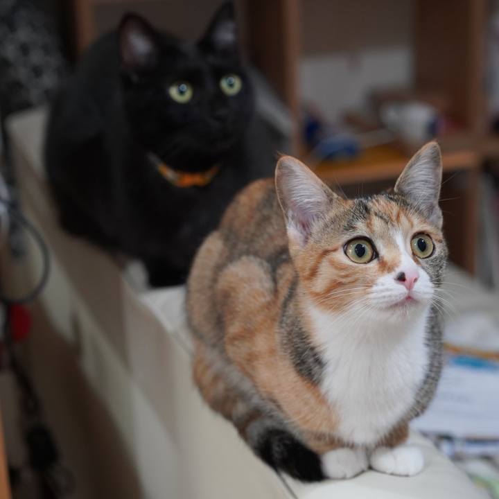 043afe36 fea1 4211 9124 36533384cf39 1577232217667