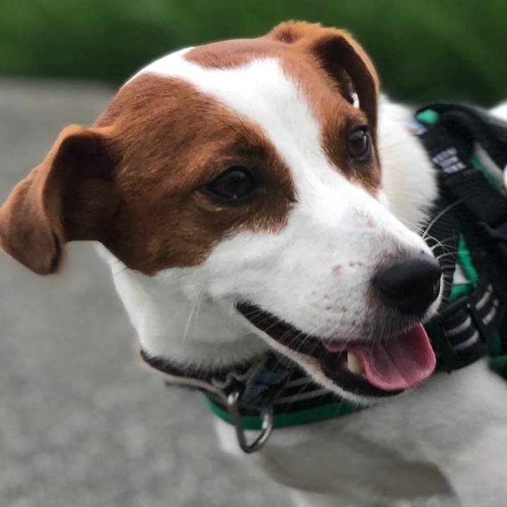 043b1299 609c 4b8a b479 57f026390fcf 1563090560406