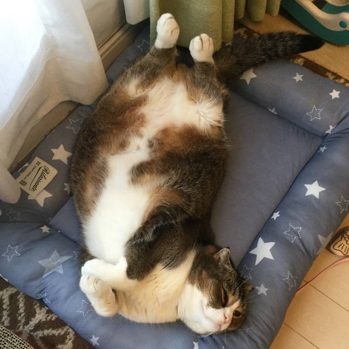 043b346d d9a1 42f4 9661 c2d5c0148b8b 1594808909281