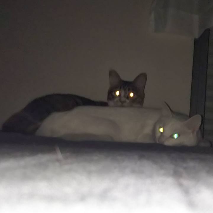 043b3c74 d0ac 451e 87fc 56062f6253d6 1688449144232