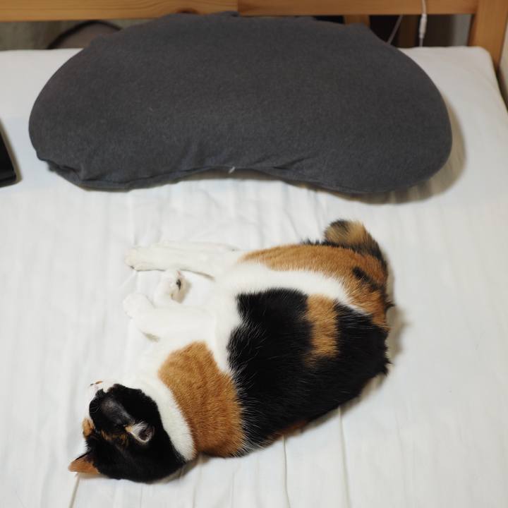 043b49fb d54d 4dc1 94d2 90210654df11 1552231781712