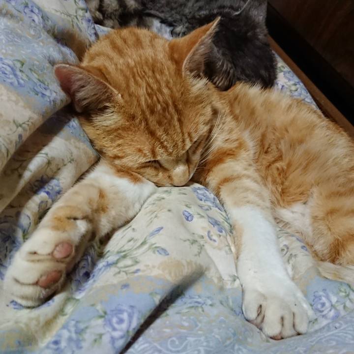 043b55f5 5b8b 495d 95ee a0d909b40c9d 1590241812816