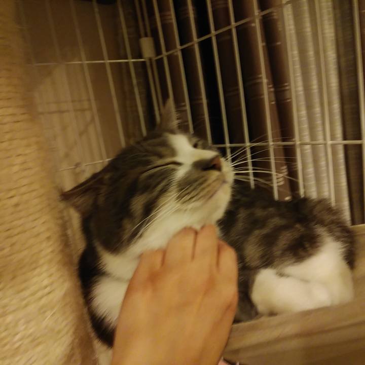 043b9b7d 6670 4e3b 8b72 09fd7a3e7f69 1581432133463