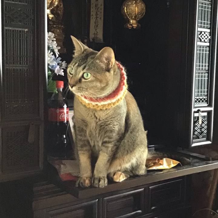 043b9c56 e50c 4dcb 933e 1c9382345f6d 1623653685838