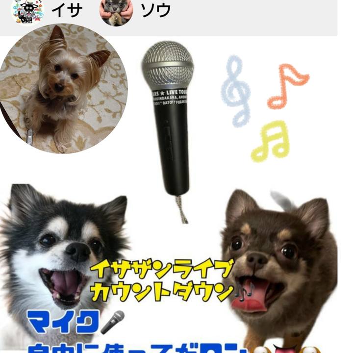 043bb9c4 771d 456f 97e2 ca88beb4ff63 1625608877474