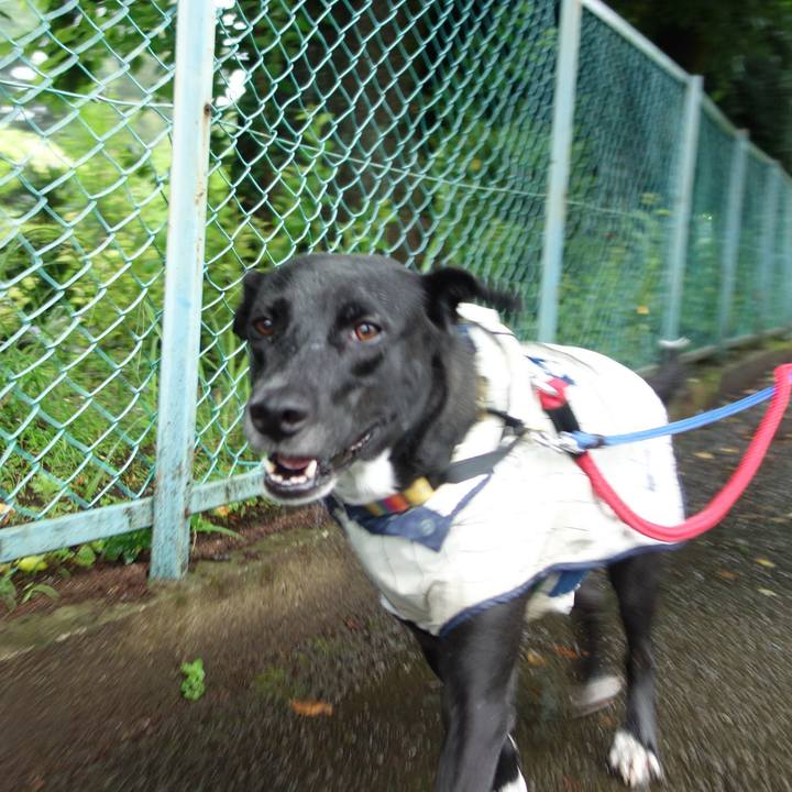 043bf175 b912 40dc 9966 e80757fd43c6 1593039848507