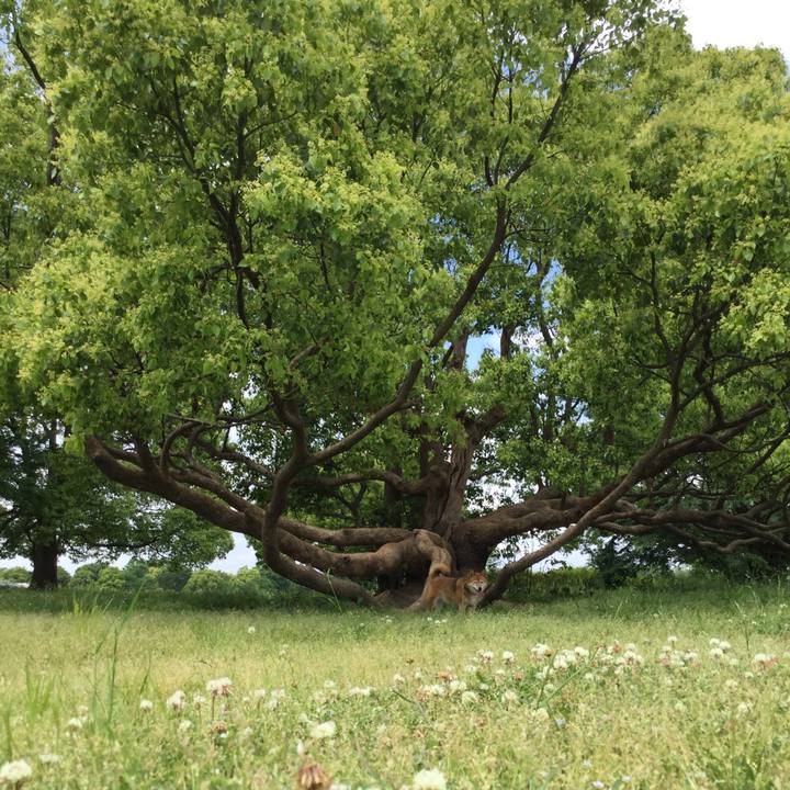 043bf716 21e6 4683 b8eb 426b13644a84 1557979051079