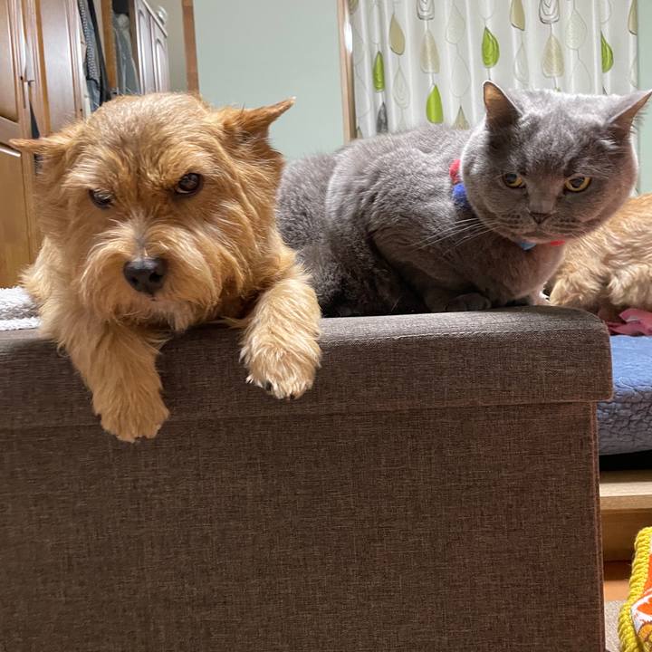 043bfe8e fb6c 4003 8973 d54e9af259cf 1773477660397