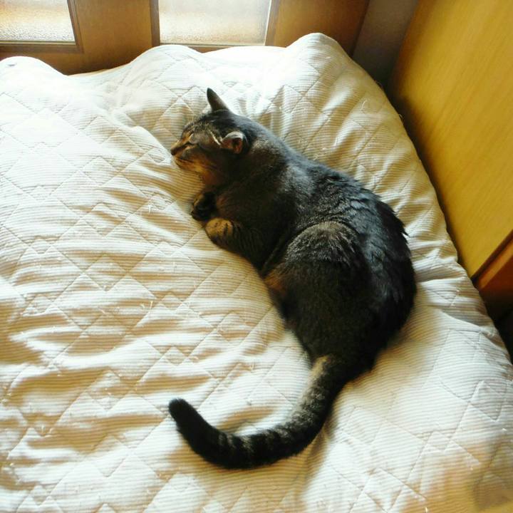 043c075b 65ba 458f 9d81 b9a7eab452ec 1568000372910