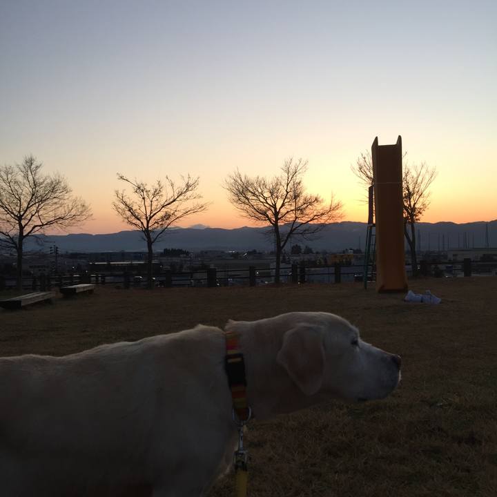 043c1873 c8c8 482b a943 08d9c3d0fd53 1512338565934