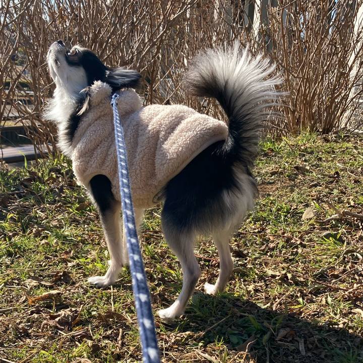 043c1c1a fb72 4f04 957f aebbaa017804 1641703557431