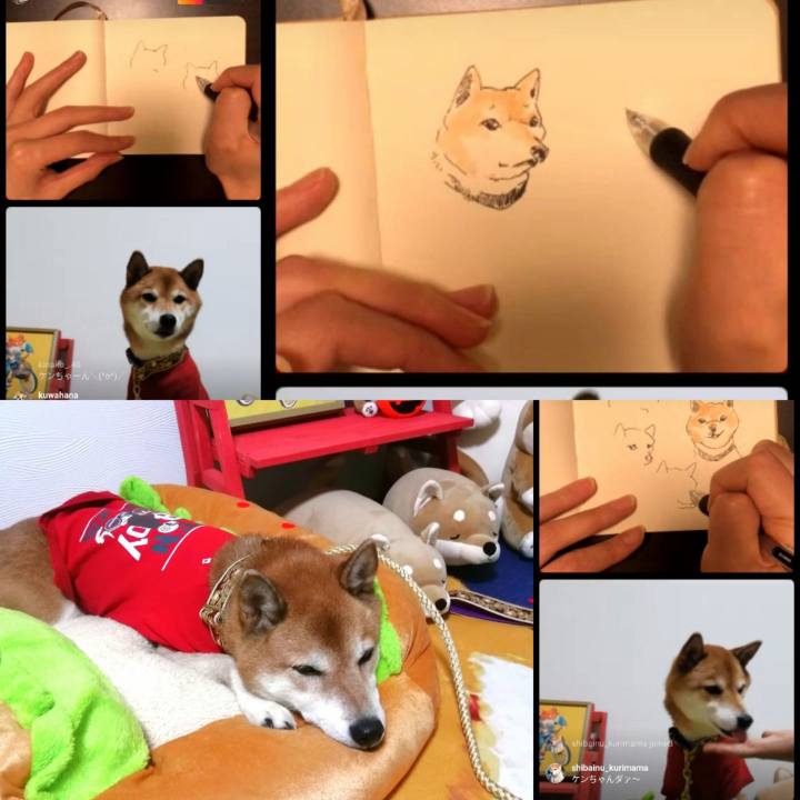 043c2cd7 805a 4f7e b790 eb73bdf3cf1b 1667058781765