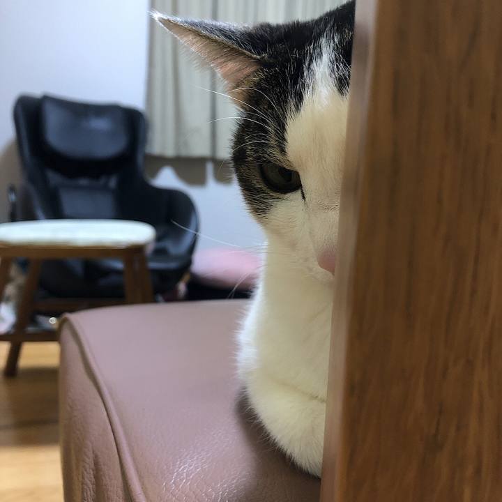 043c375c 706f 484b 99da fede995ac63f 1647176096260