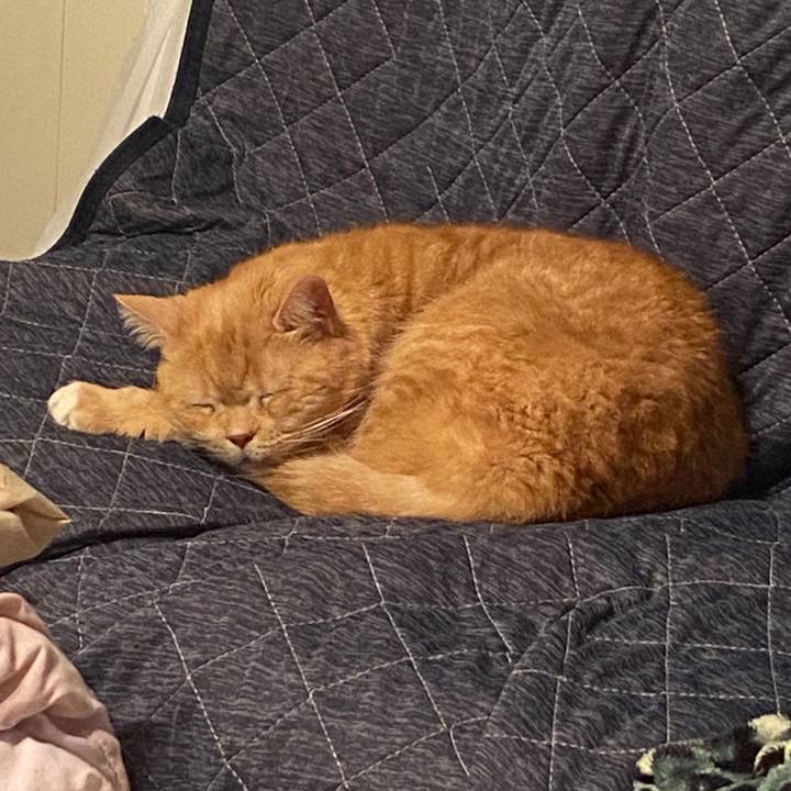 043c575a c5e6 4998 a5fa 273adec4f3ca 1584455995580