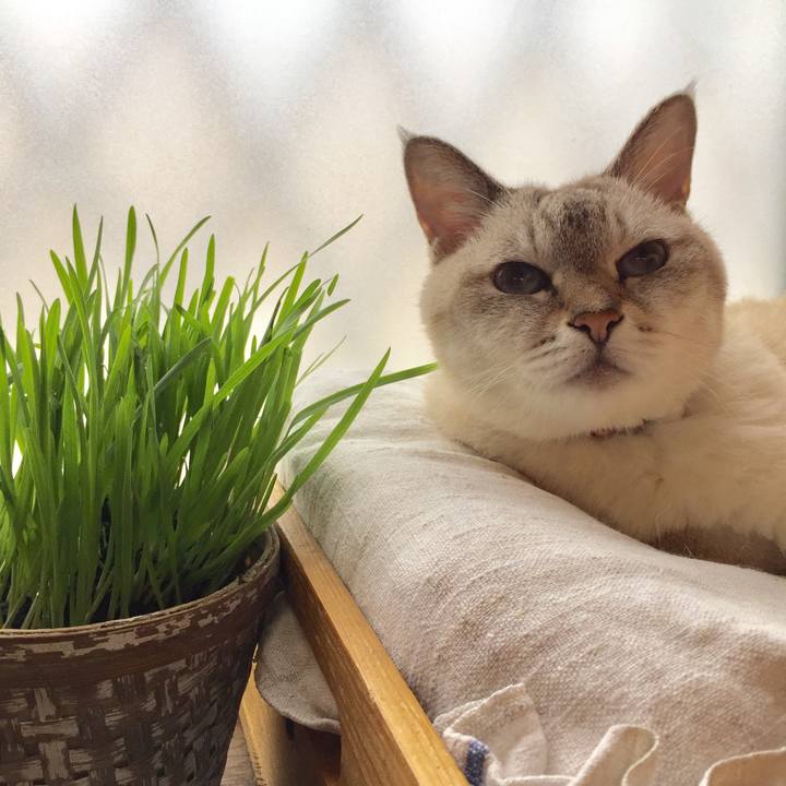 043c88fb a3c5 4144 b9ae b6012929e002 1567219682660