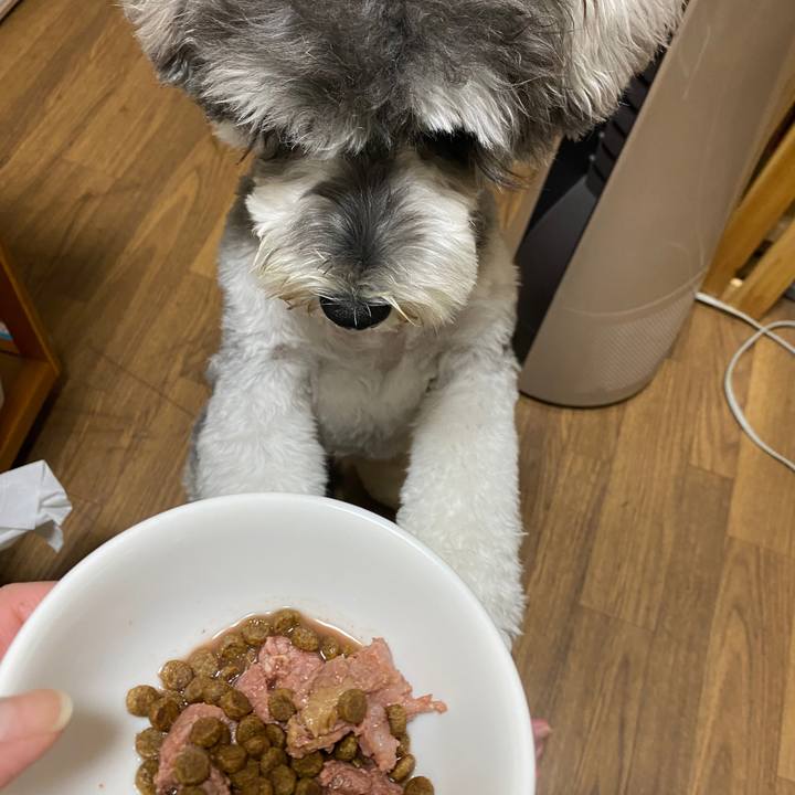 043cc788 50f6 45f6 8d71 2f6cf10601de 1591020924029