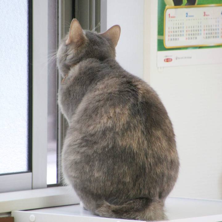 043ccaad 5b5e 4ae8 bdd1 14680977893e 1554168315962