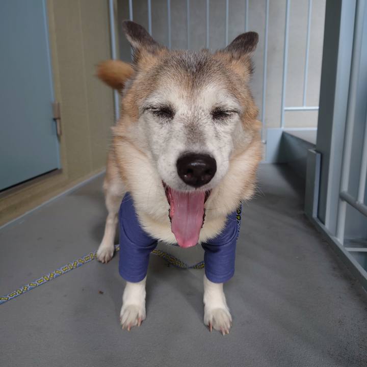 043cf7b2 ee49 4d5e 8ad3 a15b0d3d29e5 1736230374198