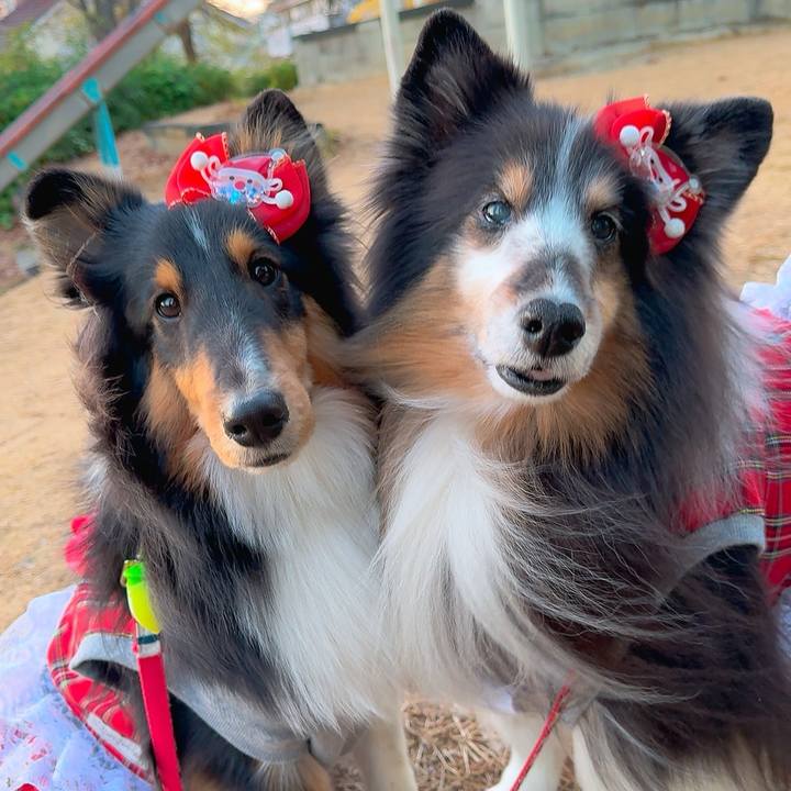 043d0f2d 31a5 48b3 9123 77ed6c9ccaca 1765727939935