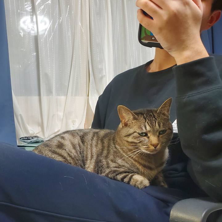 043d3a4d a6c3 4f04 be61 450dc0f67b9b 1749701231379