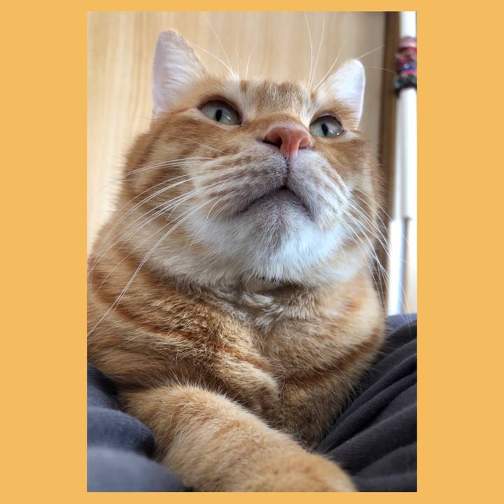 043d8fd8 1ecf 4c5d a405 356b72c2cd77 1610178237931