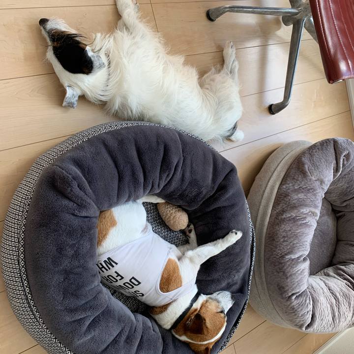 043da5a4 1019 4e1e a874 bf859b50d728 1593671675727