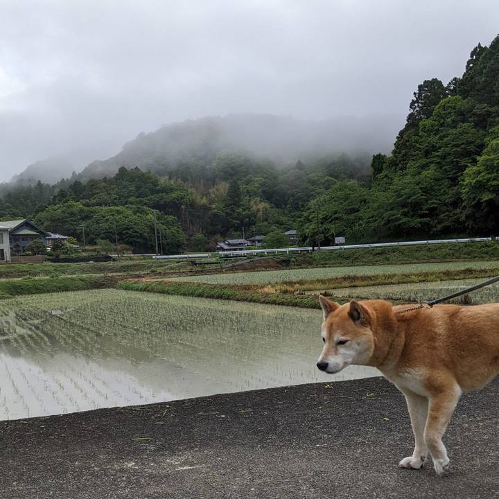 043db892 376e 4656 a130 40d518147cec 1651517697695