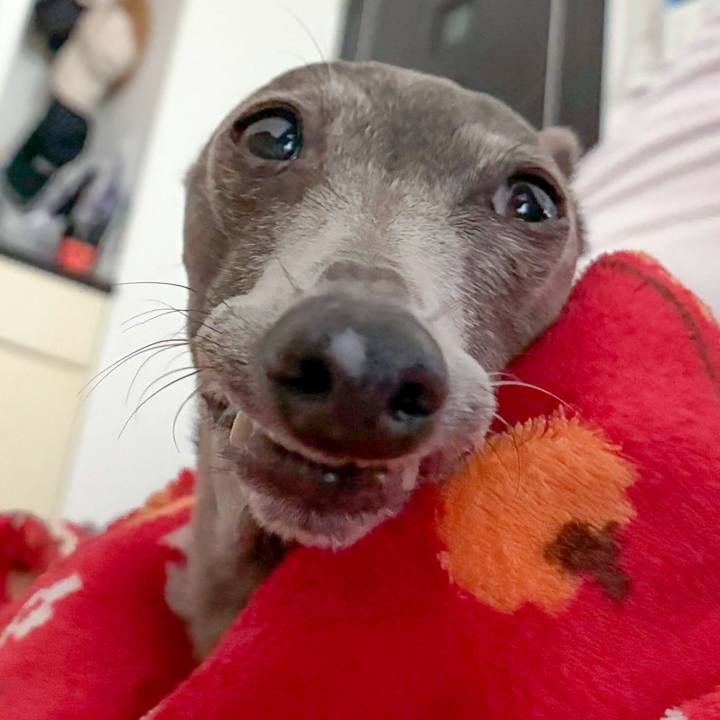 043dbc2e c52e 4c72 9932 734b785a5ae3 1765966458383