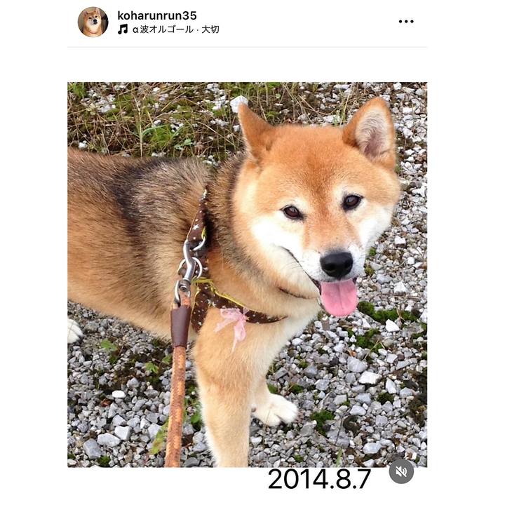 043ddbff b507 4a59 91f8 a3ddfe26b3ca 1718508164221