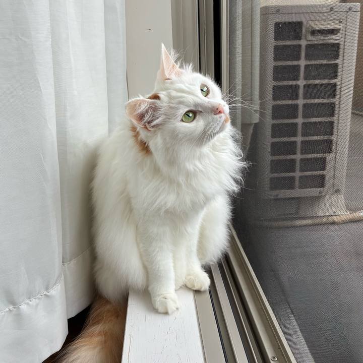 043dee3c 3112 45fa bed9 a479956ed796 1760842641988