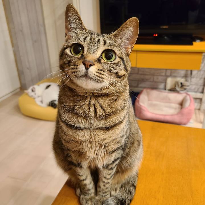 043e0de1 632b 4947 bf8c d71c25cb76d5 1619448340014