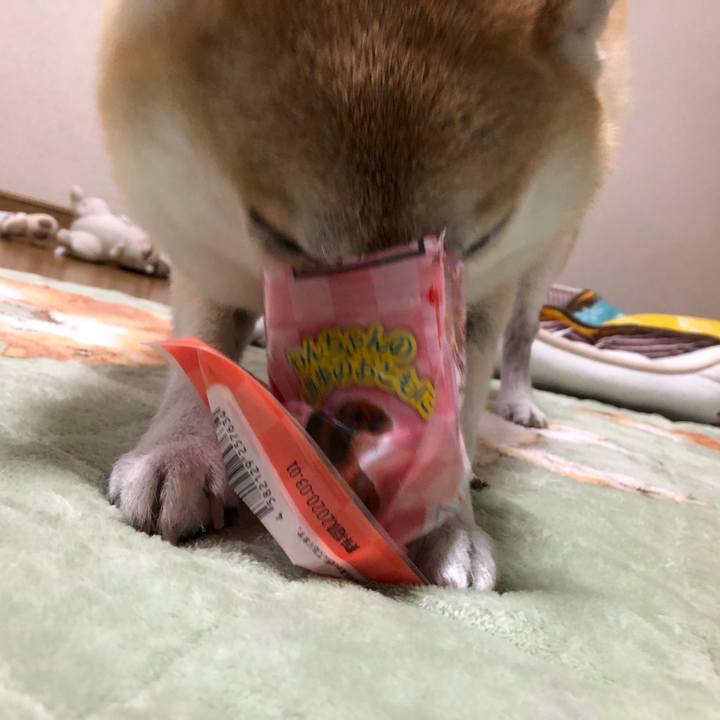 043e3230 850d 4b17 a249 6658a7ce61fb 1574511636332