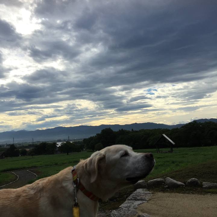 043e4324 e9f0 4268 abe5 61c3fd6e09f1 1569227500884