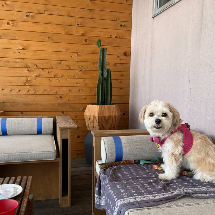 043e4bf4 44b2 4224 8351 5976e5c7c71d 1758947123099